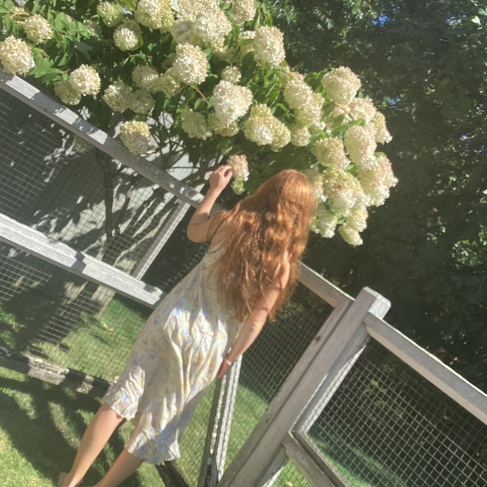 Mes Demoiselles Floral Cream Dress